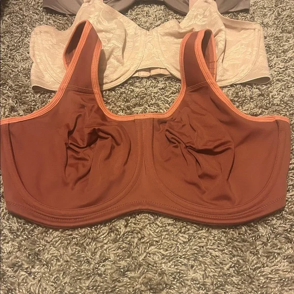 Wacoal Women's Bras in Tan, Brown, and Cream - Picture 3 of 5